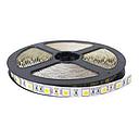 007 176301 CINTA DE LED 50X50 INT. X 5 MTS CALIDA