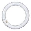 053 JGO TUBO CIRCULAR 32W LUZ DIA