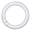 053 TUBO CIRCULAR 32W